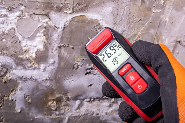 Mold Testing and Removal in Rockingham, NC