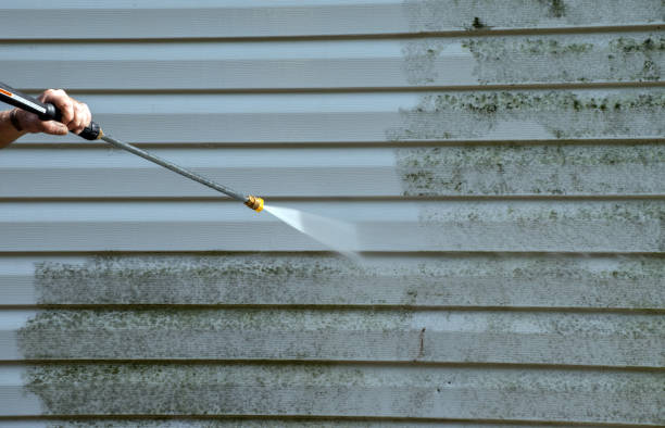 Certified Mold Removal in Rockingham, NC